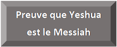 Rectangle&nbsp;: en biseau: Preuve que Yeshua   est le Messiah  