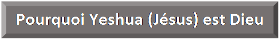 Rectangle&nbsp;: en biseau: Pourquoi Yeshua (J&eacute;sus) est Dieu
