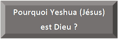 Rectangle&nbsp;: en biseau: Pourquoi Yeshua (J&eacute;sus)   est Dieu ?  
